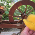 Spinning wheel & yellow roving
